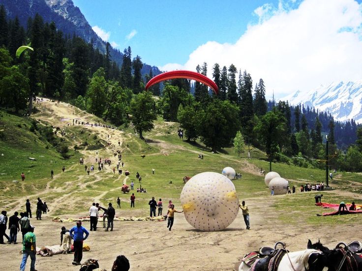 activities in manali	