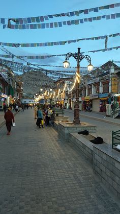 leh ladakh