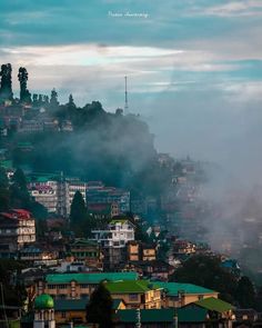 darjeeling tourist places