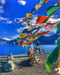 things to do in leh ladakh