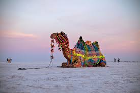 rann of kutch, 