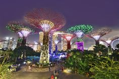 things to do in singapore at night