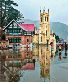 shimla weather