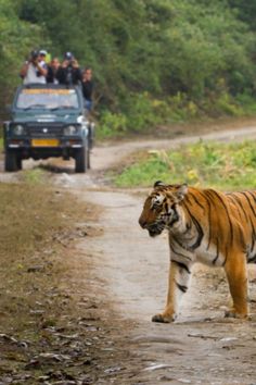 jim corbett